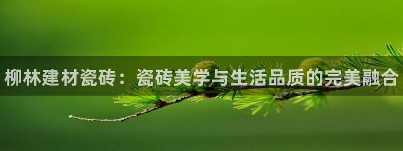 杏鑫平台注册网址