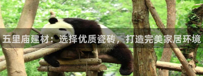 杏鑫代理注册登录