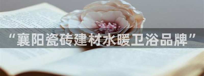 杏鑫平台代理注册登录不了怎么办呀苹果