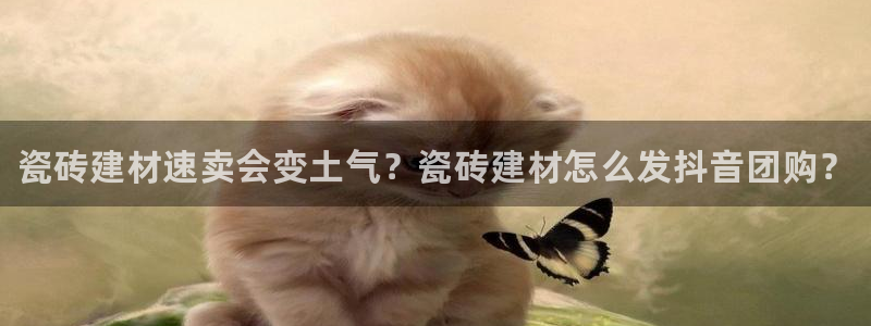 杏鑫娱乐是真的吗