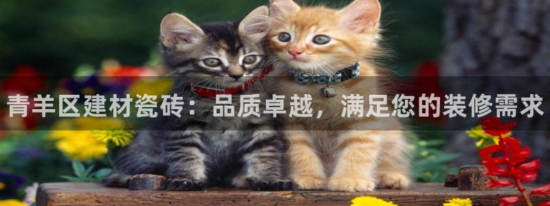 杏鑫平台代理注册流程视频