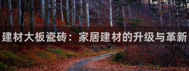 杏鑫手机客户端